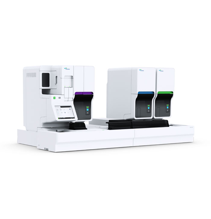 XN-3100