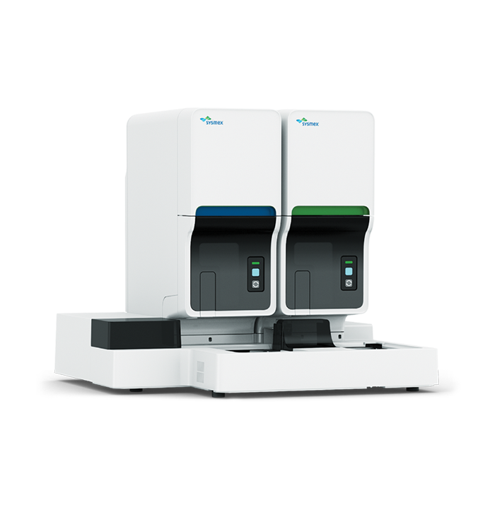 xn-2000