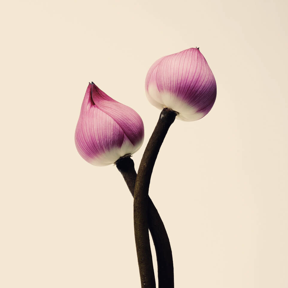 Academy_Motiv_20
